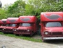 Bedford Trucks & Vans collection